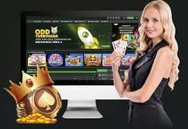 bmk77 ပလက်ဖောင်း မြန်မာ online gaming ဂိမ်းများ ပြသမှု